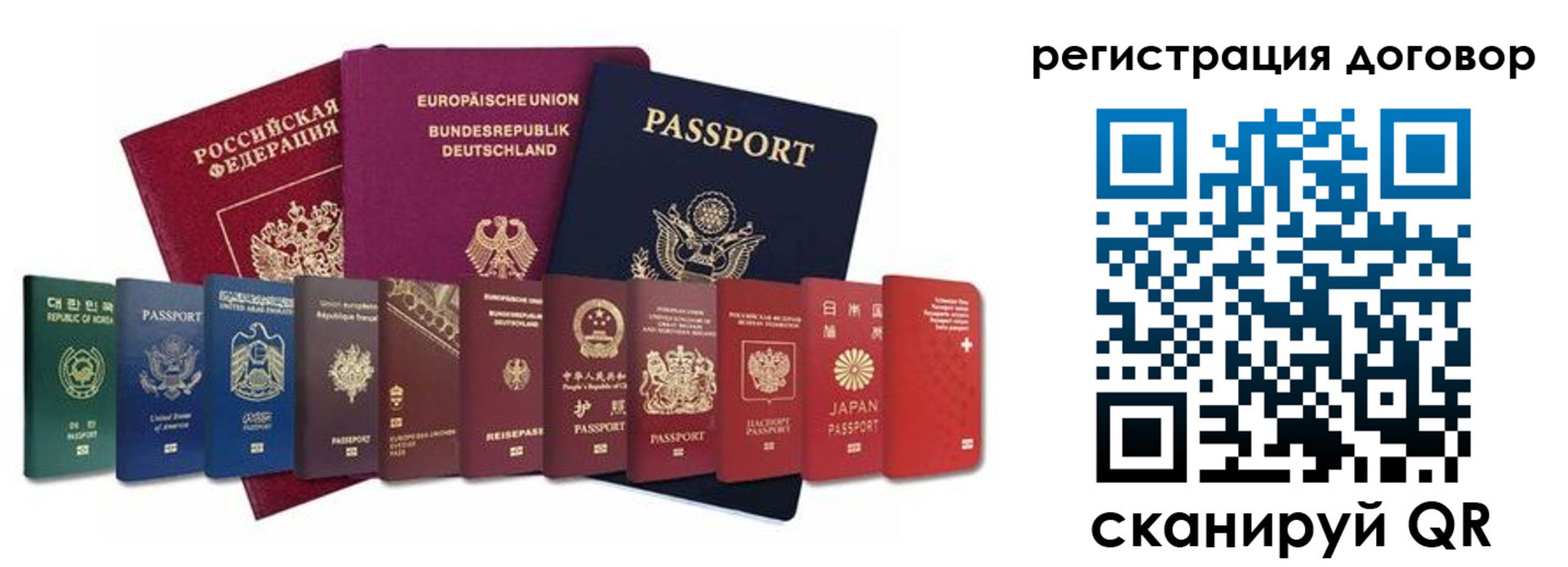 временная регистрация госуслуги в Курской области
