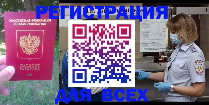временная регистрация поиск в Курской области